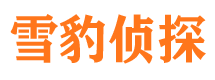 龙马潭市侦探公司